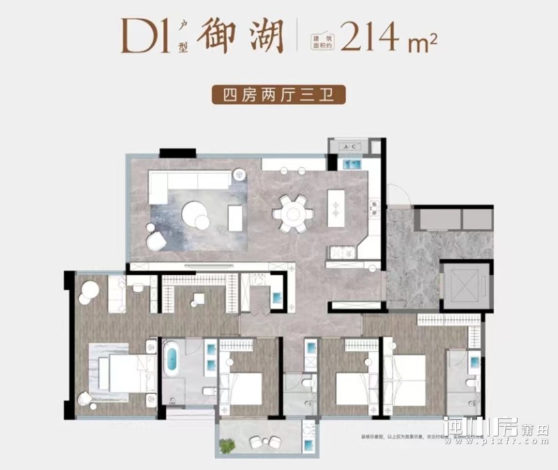 D1户型御湖
